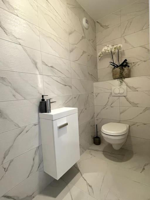 Magnifique Appartement A La Frontiere Suisse Saint-Louis  Buitenkant foto